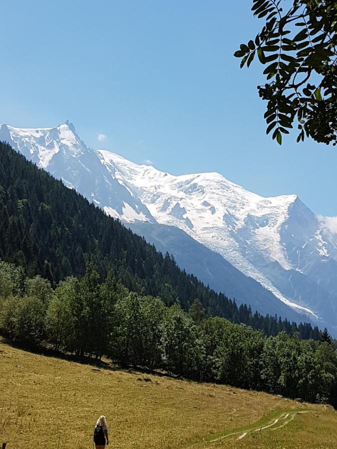 Appartement Typique,Chaleureux Et Pratique Chamonix Zewnętrze zdjęcie