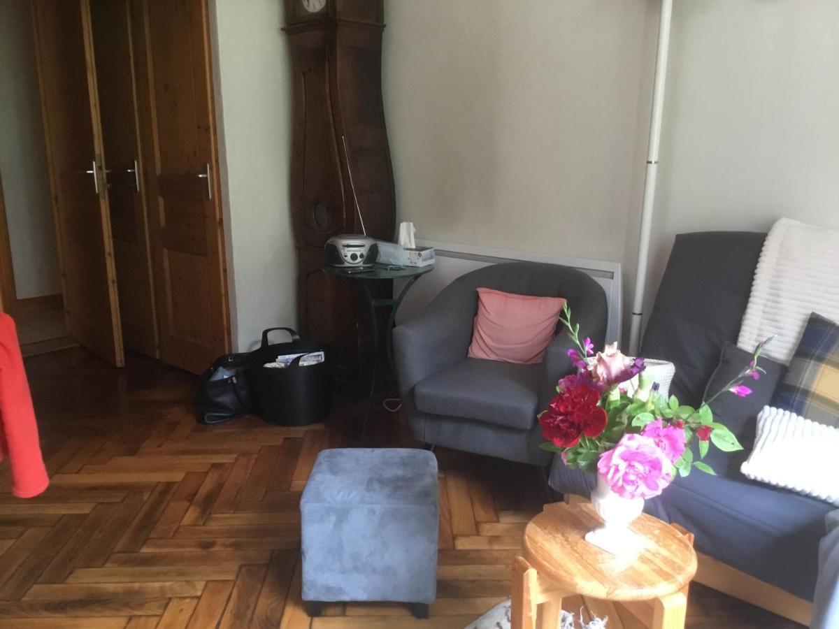Appartement Typique,Chaleureux Et Pratique Chamonix Zewnętrze zdjęcie